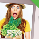 Mese usoare cu Smoothie Vegan