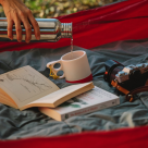 5 hobby-uri pe care le poți transforma în afaceri