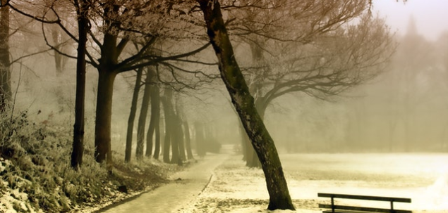 Care este anotimpul tau preferat?