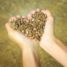 Eveniment Gratuit De Spiritualitate Si Autocunoastere In Bucuresti