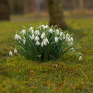 5 idei originale de mărțișoare pentru a fi oferite doamnei educatoare cu ocazia zilei de 1 Martie