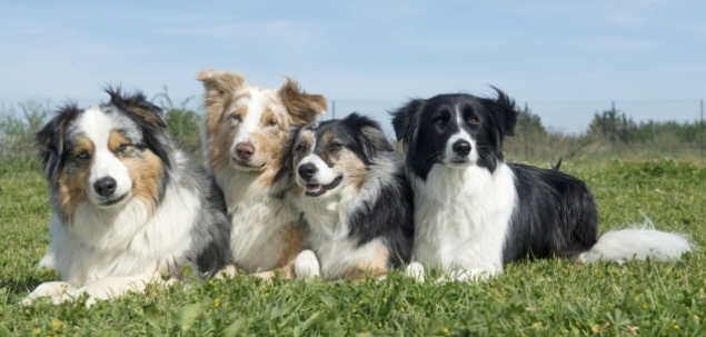 Imi fac prieteni foarte usor: