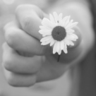 Top 10 declaratii muzicale de prietenie 