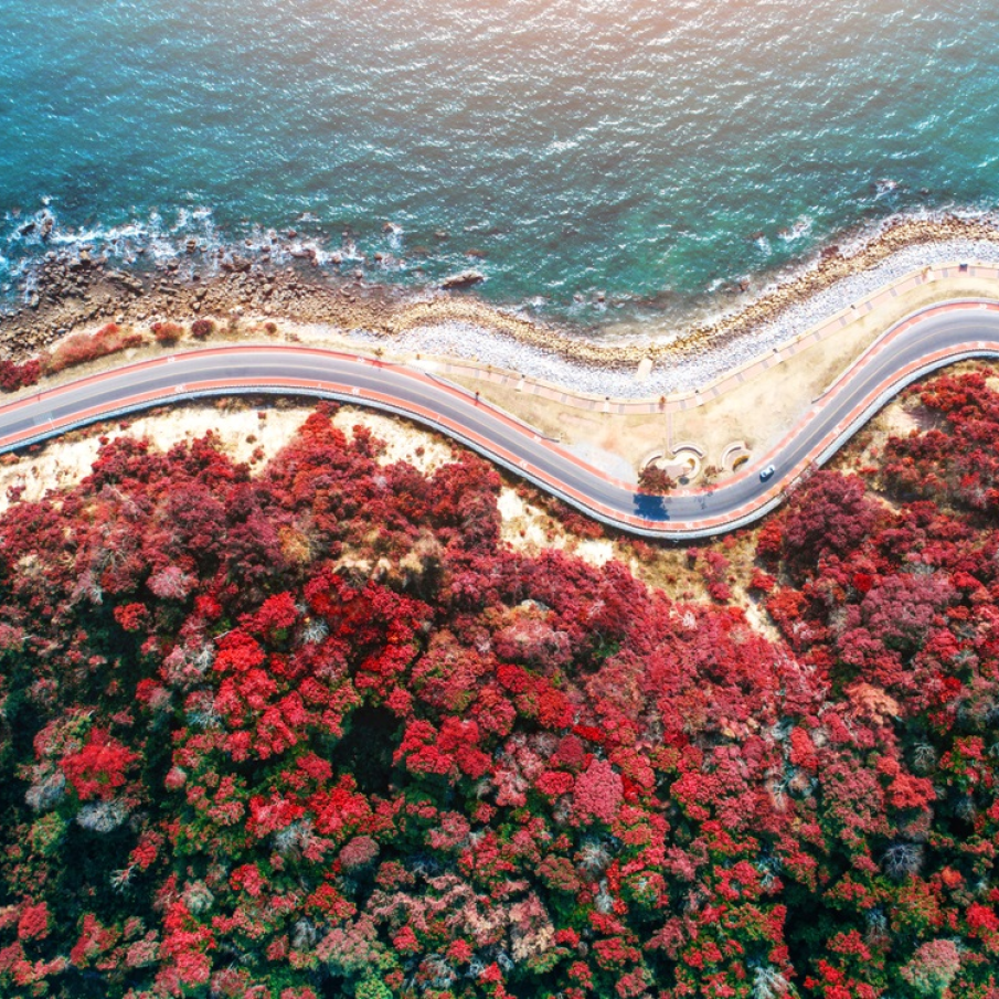 Toamna pe dealuri si toamna pe valuri 