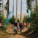Respect pentru natură, respect pentru comunitate. Apa Bucovina a organizat o acțiune de reîmpădurire în Ținutul Echilibrului