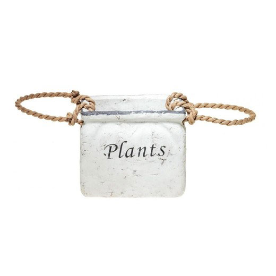 Ghiveci plante Gardening