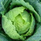 Salata de varza acra