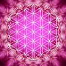 11 Curiozitati despre Floarea Vietii, cea mai intalnita forma din Univers 