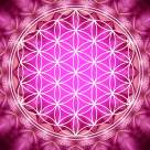 11 Curiozitati despre Floarea Vietii, cea mai intalnita forma din Univers 