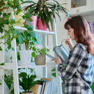 Plantele-minune care te scapă de mucegai! Ce flori trebuie să ai în casă toamna aceasta