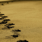 Les Brown: 10 lectii pe care le-am invatat in 40 de ani calatorind in jurul lumii!