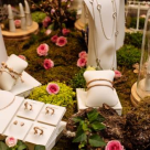 Primăvara a început în Grădina Pandora