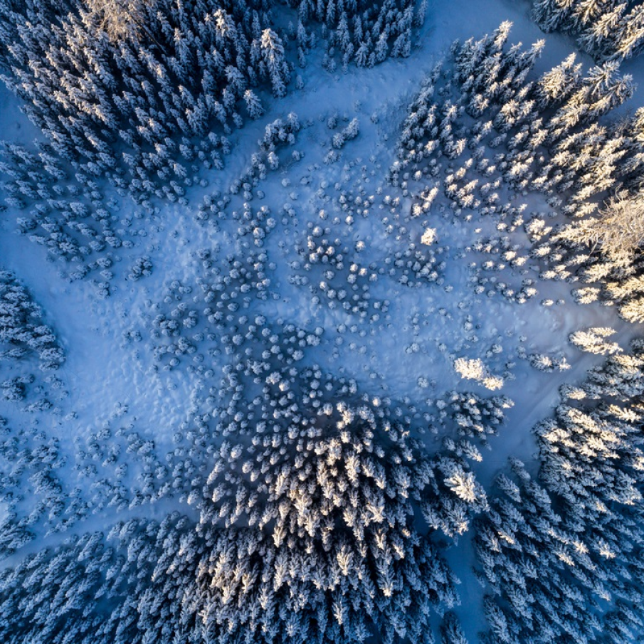 Cu mic cu mare contribuie la o armonie cuceritoare: Peisaj montan de iarnă 