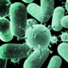 S-a descoperit VITAMINA care UCIDE CANCERUL