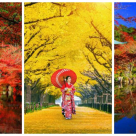 Toamna in Japonia este o feerie: Imagini desprinse parca dintr-un Rai al Toamnei!