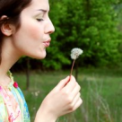 Dorinta de a nu dori nimic