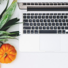 Recomandare de carte: 800 de retete secrete pentru sanatate 