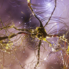 Bazarul memoriei, o investigație fascinantă a modului cum se formează amintirile și cum ne construiesc ele pe noi