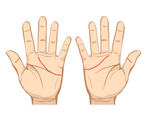 Linia din dreapta e mai sus decat cea din stanga. 