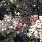 Cum să oferi cadoul potrivit de mărțișor