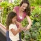 4 plante care trateaza anemia