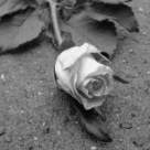 Poveste urata de septembrie 