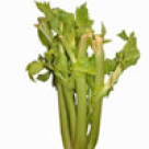 Telina, leguma regina a alimentatiei 