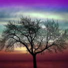 Cand si cum iertam o persoana: 10 puncte pentru a evalua constient logica din spatele iertarii