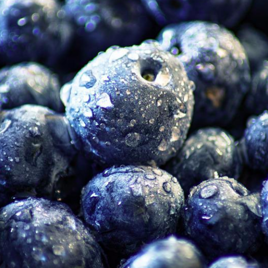 Afinul sau insulina vegetala