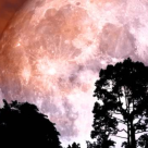 Super Luna Zăpezii de pe 19 februarie are un rol purificator: Este momentul curățeniei emoționale!