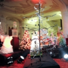 Cu drag, cei mai frumosi braduti de Craciun...