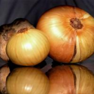 Ceapa si cartofii, ingredientele vedeta ale romanilor