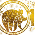 A început Anul Chinezesc al Mistrețului de Pământ! Stabilitate, energie telurică, mai multă compasiune și noroc până în 2020!