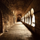 Cele mai grave pacate: Pedofilia si hirotonisirea femeilor!