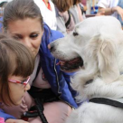Terapia cu animale la 'Doctor cu patru labute'