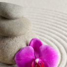 Ghid pentru o viata simpla si fericita