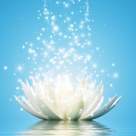 Asculta Mantra celor 7 Chakre: Melodia care te vindeca si te protejeaza impotriva negativitatii 