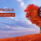 Testul COPACULUI