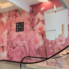 RITUALS COSMETICS INAUGUREAZĂ UN NOU MAGAZIN, ÎN BĂNEASA SHOPPING CITY