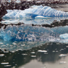 Top 5 consecinte fatale ale incalzirii globale