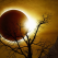 2 iulie - MAREA ECLIPSA, singura Eclipsa Totala de Soare a anului: Karma buna se intoarce la noi!