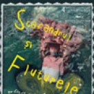 Scafandrul si fluturele