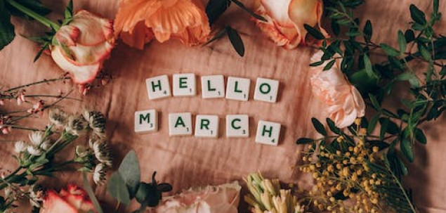 Ce prioritate ai pentru luna martie?