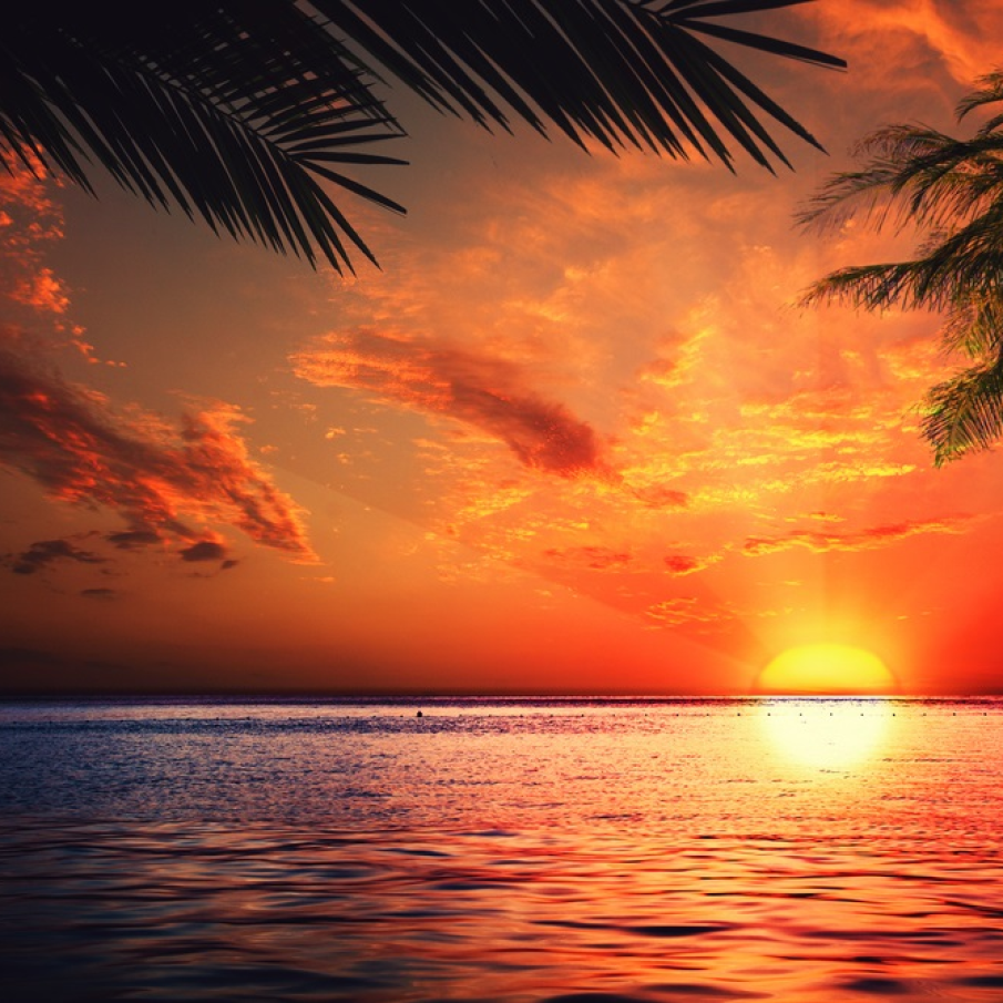 Apus de soare magnific deasupra oceanului 