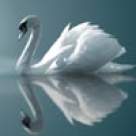 Raspuns pentru dna Delia