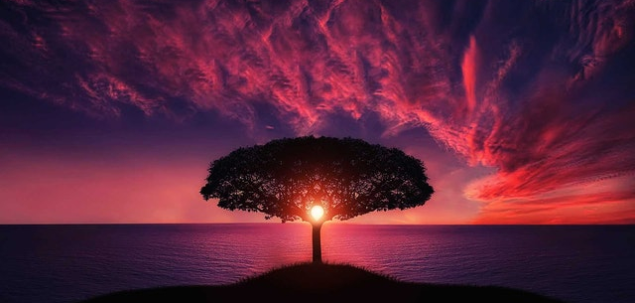 Ce iti transmite aceasta imagine?