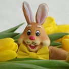 Cele mai frumoase cântece pentru copii cu iepurași