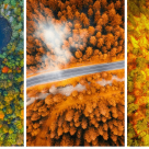 Toamna văzută din Dronă: Fotografii aeriane cu peisaje de TOAMNĂ care îți taie respirația 