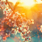 Bunavestire, sarbatoarea primaverii si a vietii: Traditii si obiceiuri romanesti de Blagovestenie!