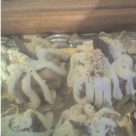 Prajitura rapida din cozonac